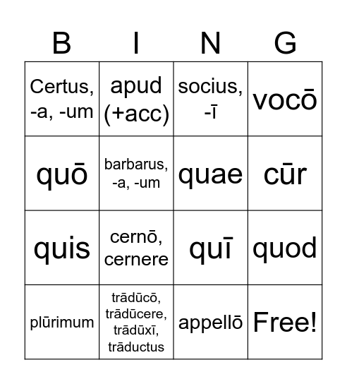 L25 Latin Bingo Card