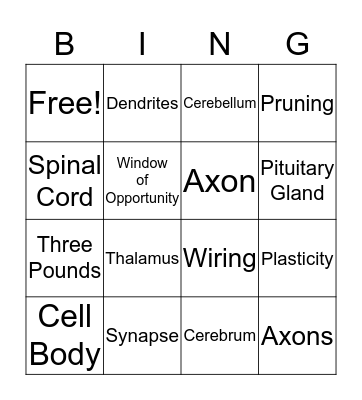 Brain Development Bingo Card