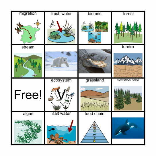 Ecosystems Bingo Card