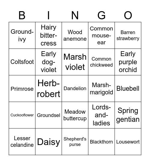 Wildflowers Bingo Card