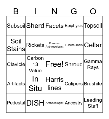 Written in Bone Vocabulary Bingo Card