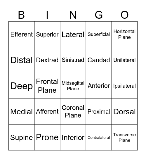 Planes & Directional Terms Bingo Card