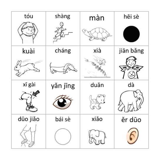 Opposites & Body Parts Bingo Card