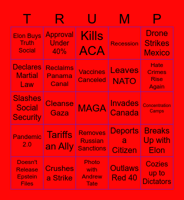 Trump 2nd Term Bingo Card