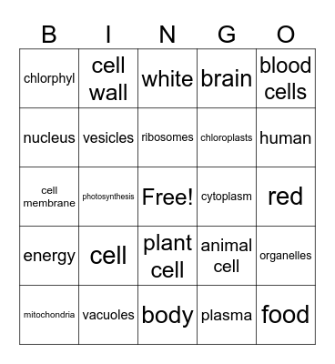 Cells Bingo Card