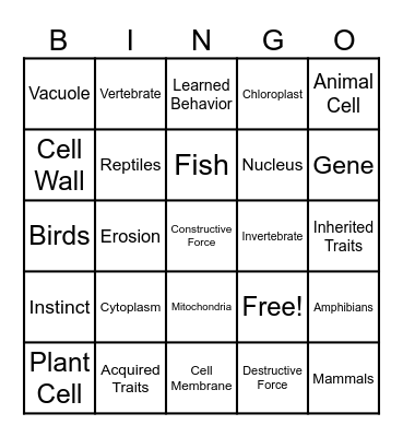 Plant/Animal Cells Bingo Card