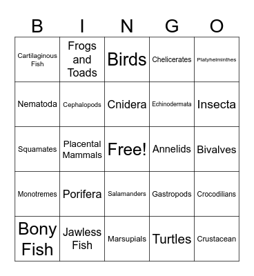 Animal Phylum Bingo Card