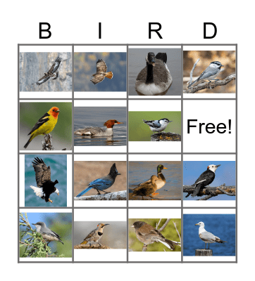 K&K Get Married 2! Bingo Card