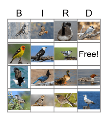 K&K Get Married, part 2 Bingo Card