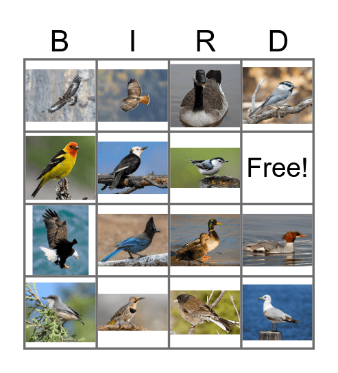 K&K Get Married, part 2 Bingo Card