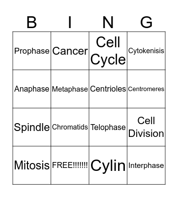 Ch. 10 Vocabulary Bingo Card