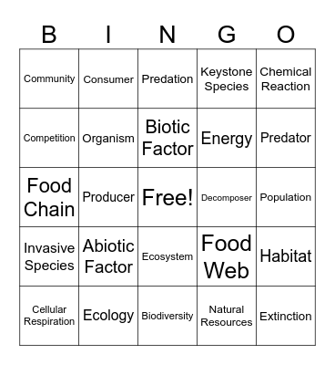 Unit 3 Vocab Review! Bingo Card