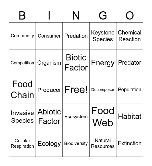 Unit 3 Vocab Review! Bingo Card