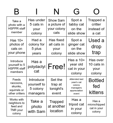 Cat Colony Bingo Card