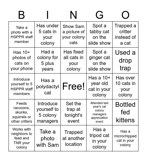Cat Colony Bingo Card