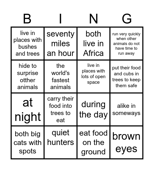 BINGO Card