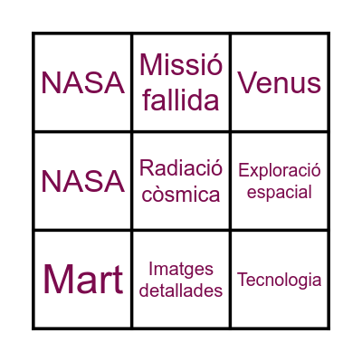 PROGRAMA MARINER Bingo Card