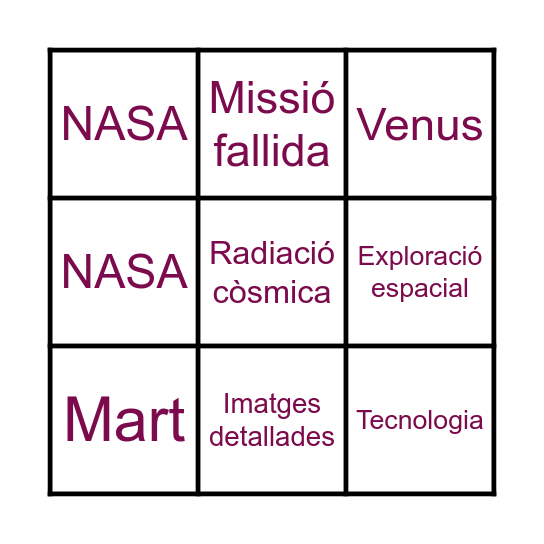 PROGRAMA MARINER Bingo Card