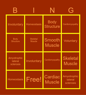 Muscles Bingo Card