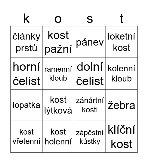 Opěrná soustava Bingo Card