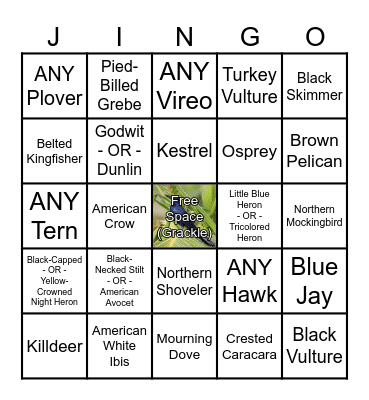 Birdwatching Bingo Card