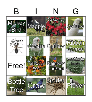 Nature Bingo Card