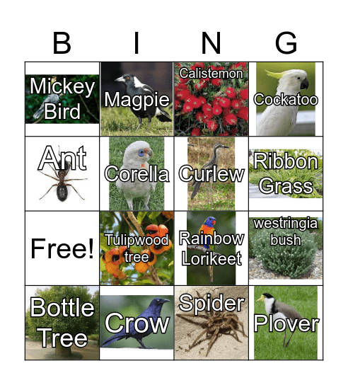 Nature Bingo Card