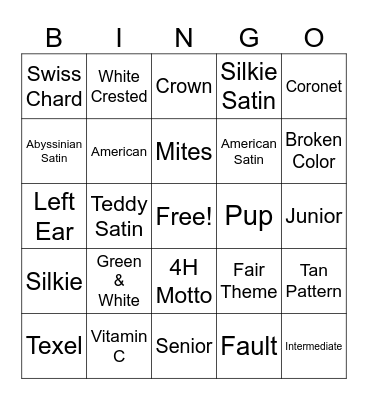 Cavy Bingo Card