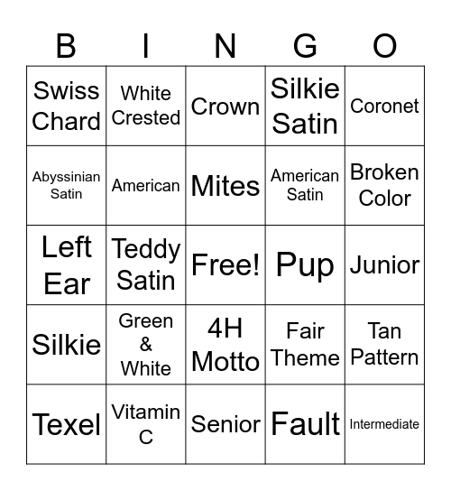 Cavy Bingo Card