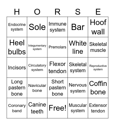 Equine Anatomy Bingo Card