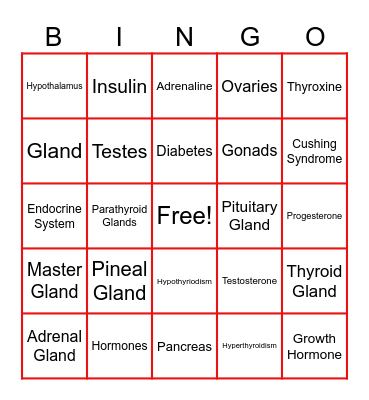 ENDOCRINE SYSTEM BINGO Card