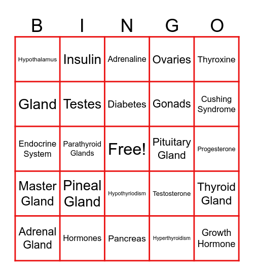 ENDOCRINE SYSTEM BINGO Card