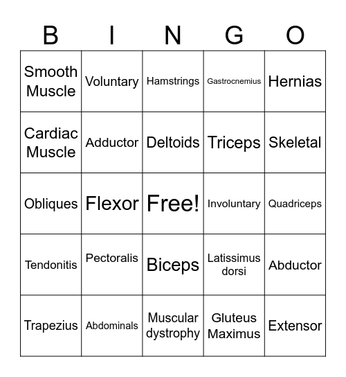 Muscular System Bingo Card