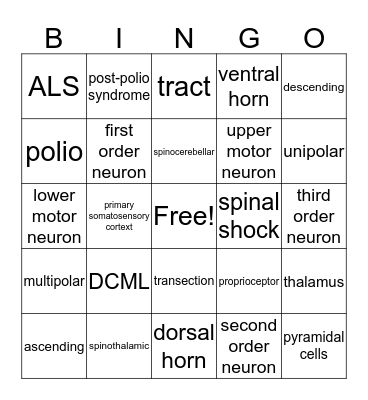 Spinal Cord Tracts & Trauma Bingo Card