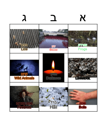 עשר המכות Bingo Card