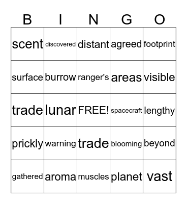 Vocabulary Bingo Card