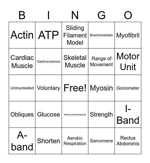 Muscle System Bingo Card