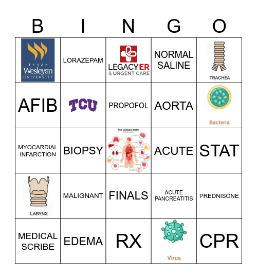 SCRIBE BINGO Card