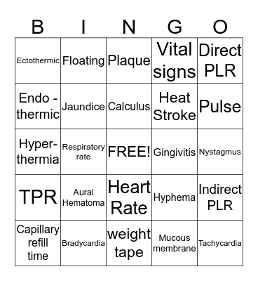 Examination Procedures Bingo Card