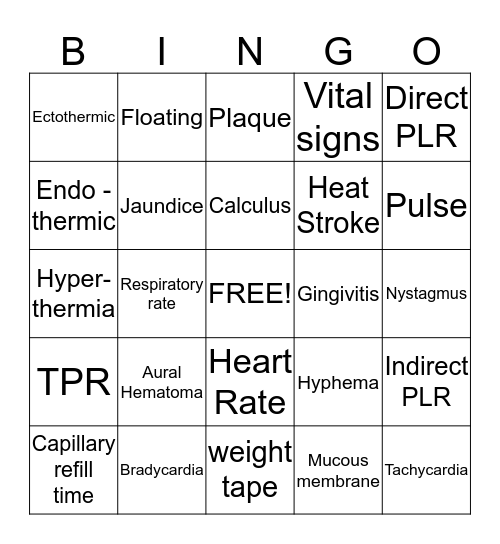 Examination Procedures Bingo Card