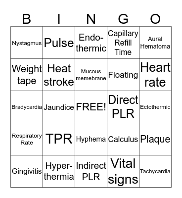 Examination Procedures Bingo Card