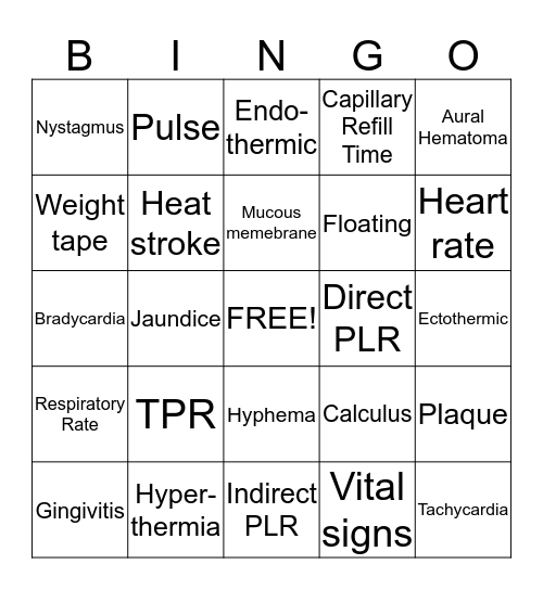 Examination Procedures Bingo Card