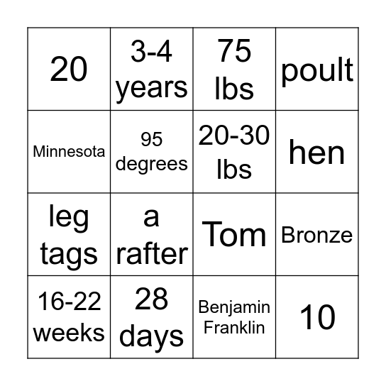 Bingo Card