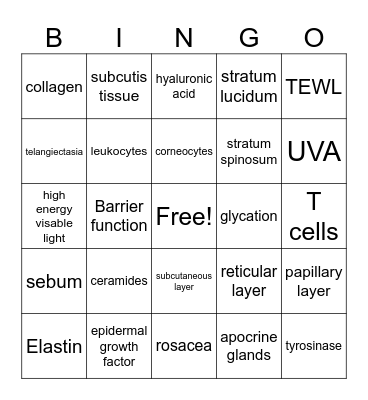 Histology & Physiology of the Skin Bingo Card
