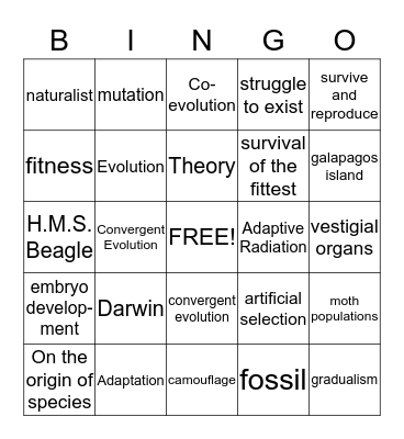 Chapter 15 Bingo! Bingo Card