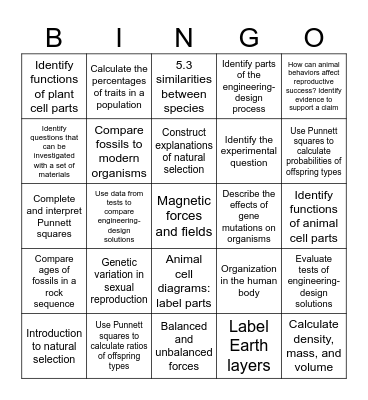 Science Review Bingo Card