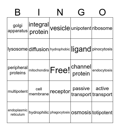 A & P Cells Bingo Card