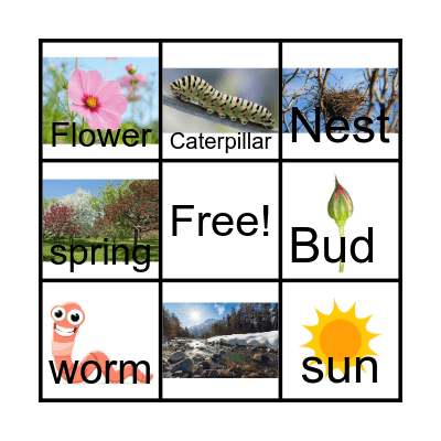 Spring Bingo Card