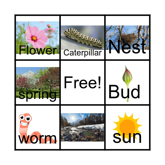 Spring Bingo Card