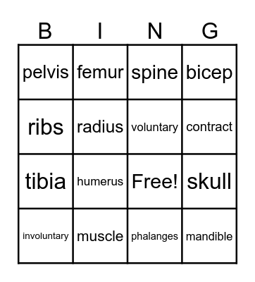 Musculoskeletal System Bingo Card